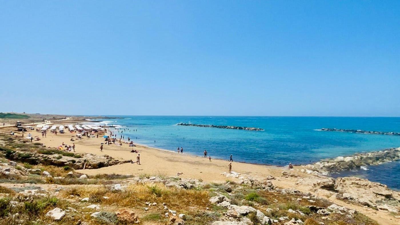 Apartment Elegant Beachside Apt - 1 Min Walk To Venus Beach *